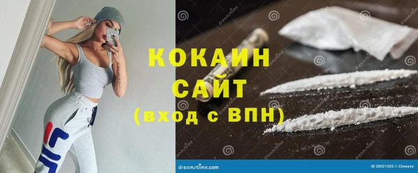 бошки Няндома