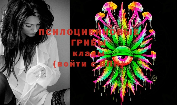 ПСИЛОЦИБИНОВЫЕ ГРИБЫ Нязепетровск