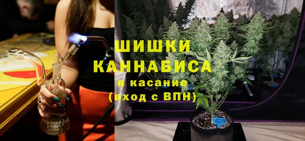 бошки Няндома