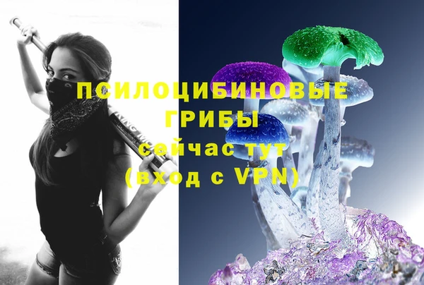 бошки Няндома