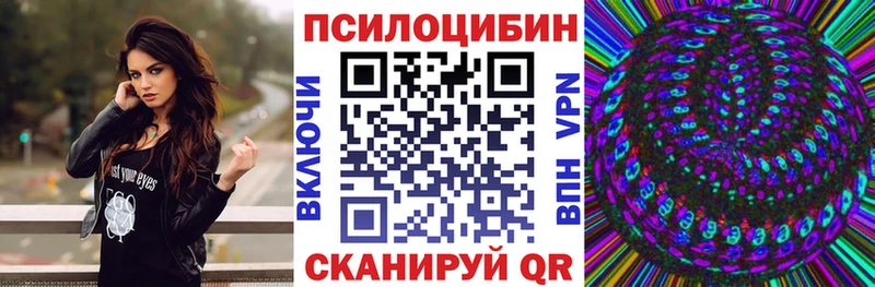Псилоцибиновые грибы Psilocybine cubensis  Краснокаменск 