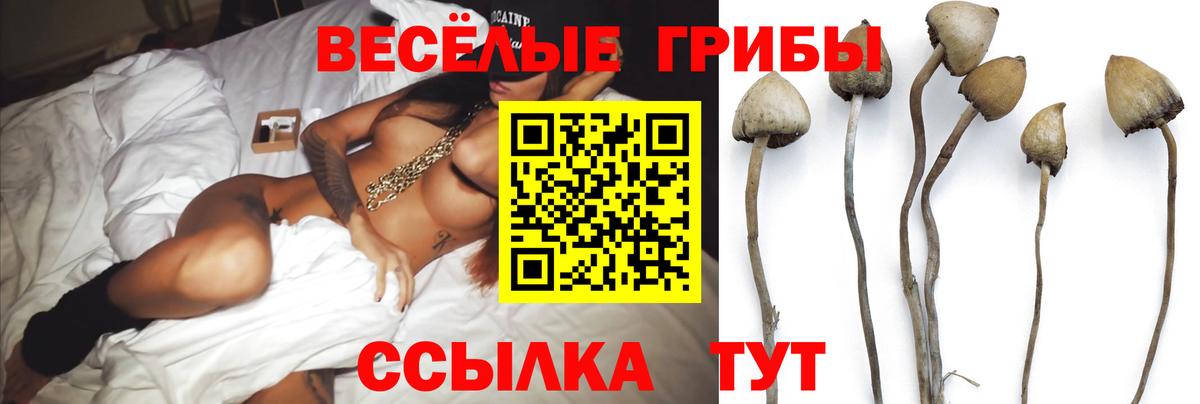 Галлюциногенные грибы мухоморы  Вход с VPN  продажа наркотиков  Краснокаменск 