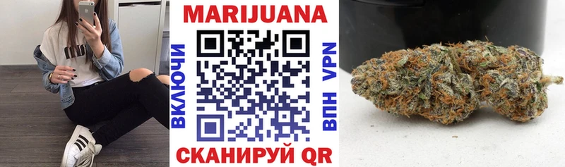 где купить наркоту  Краснокаменск  Конопля сатива 